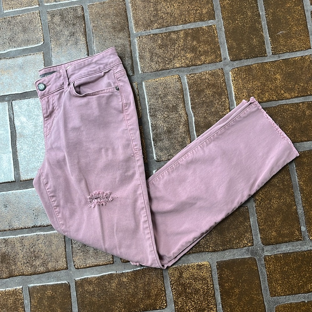 Level 99 Plum Purple Distressed Lily Cropped Skinny Straight Leg Jean